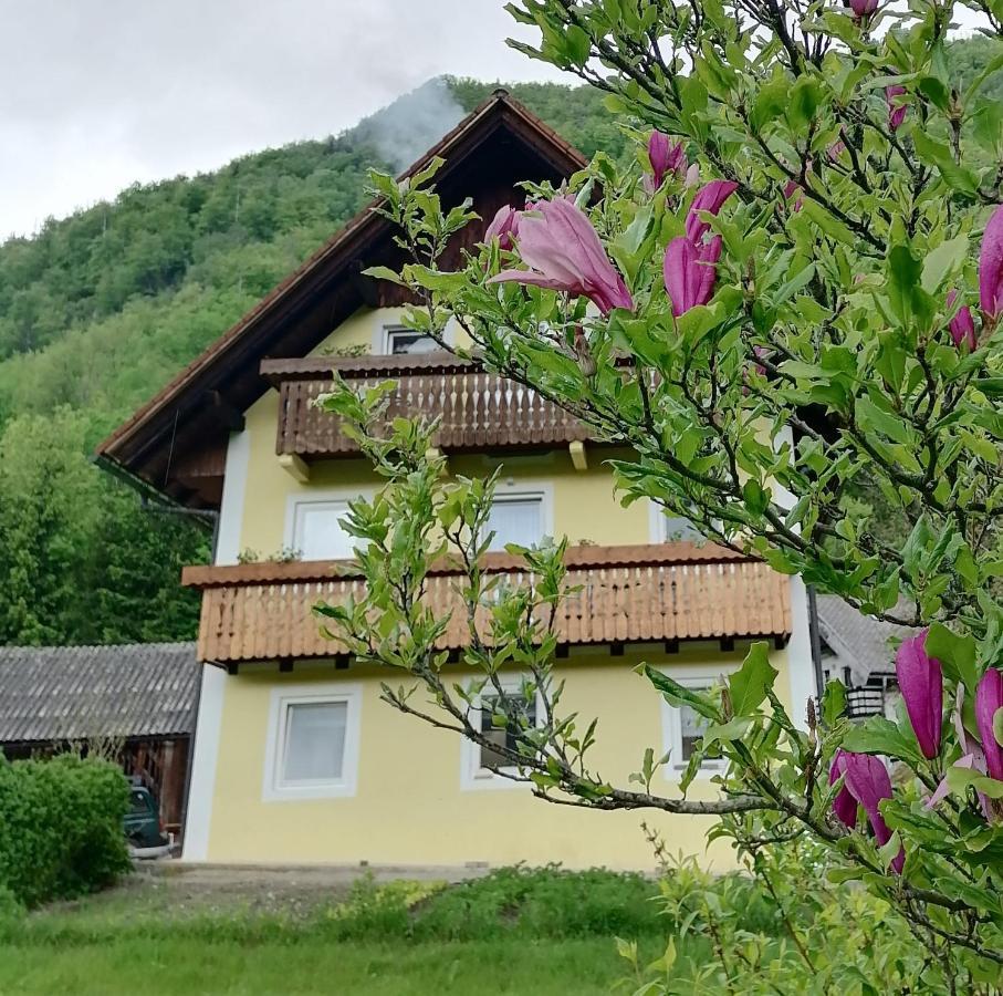 Apartment House Andrej Bohinj Luaran gambar